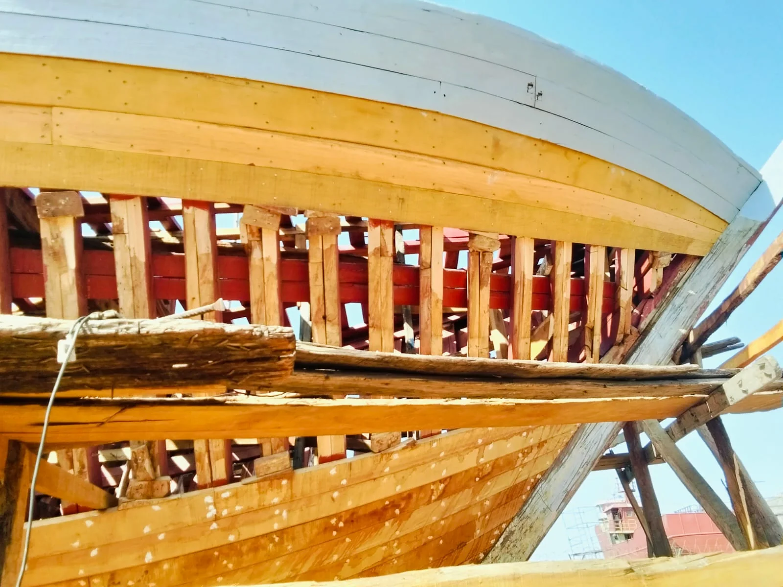 Structure et bordage d’une coque de navire en bois